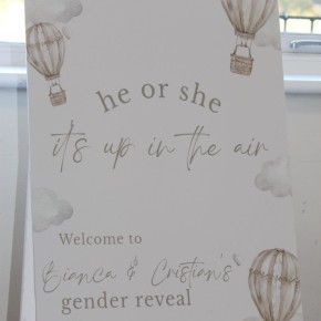 event decor gender reveal croydon