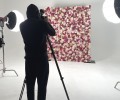 Abundance Flowerwall