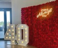 aurora flowerwall rental croydon