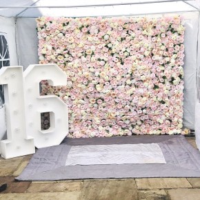 Fecility Flowerwall