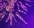 Bespoke flower and neon installation for Platinum Lace, Leicester Square, London, New Years Eve 2025