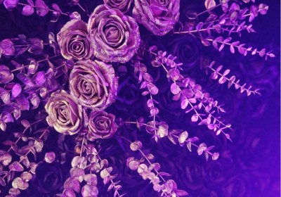 Floral Installations